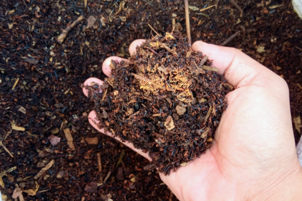 Proč se kompost nerozkládá (a jak ho urychlit)3